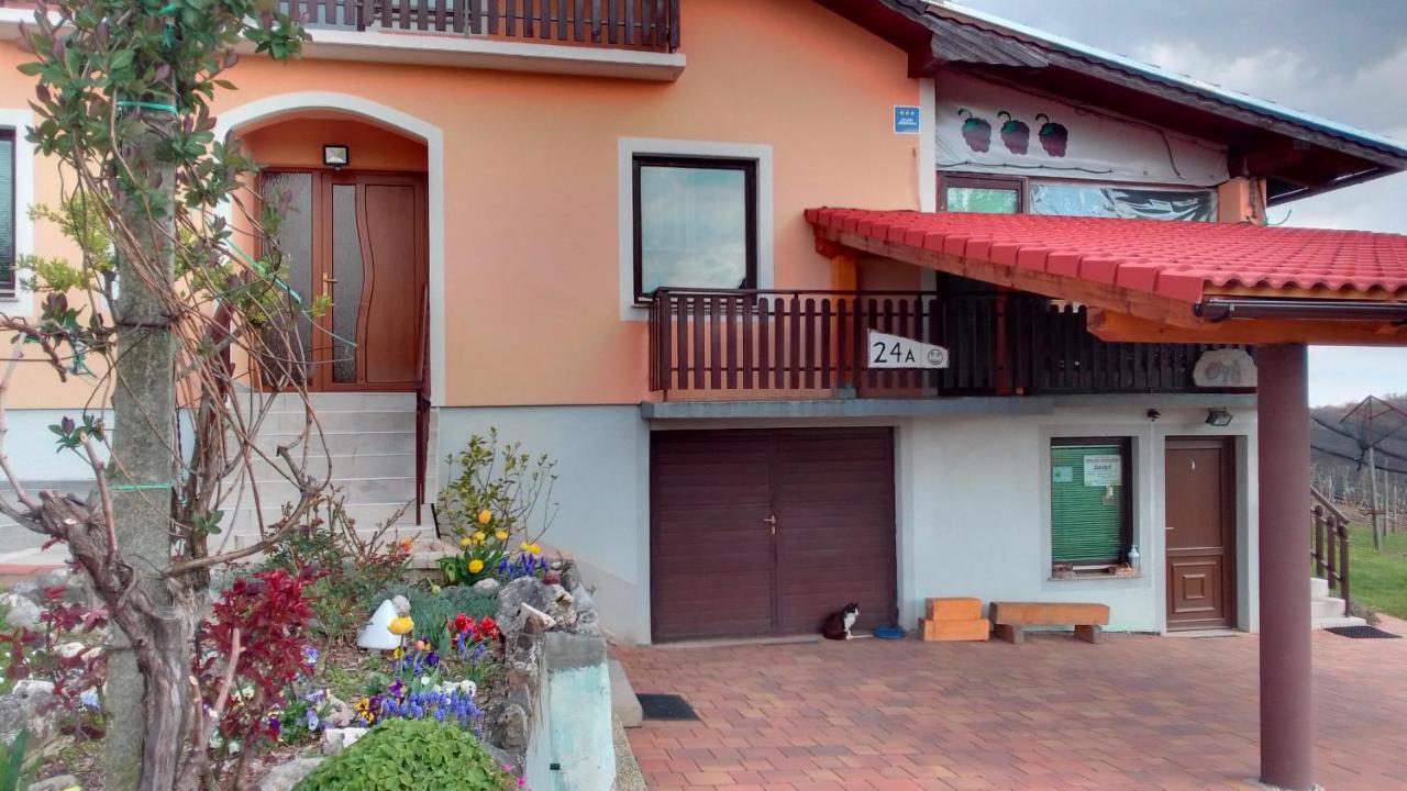 Studio Apartman Safaric Sveti Martin Na Muri Eksteriør bilde