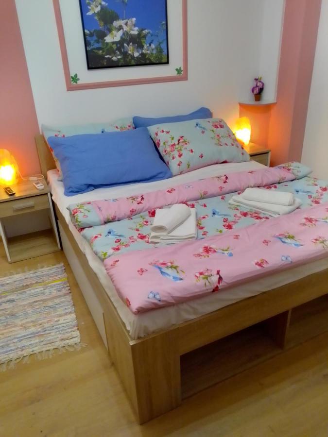 Studio Apartman Safaric Sveti Martin Na Muri Eksteriør bilde
