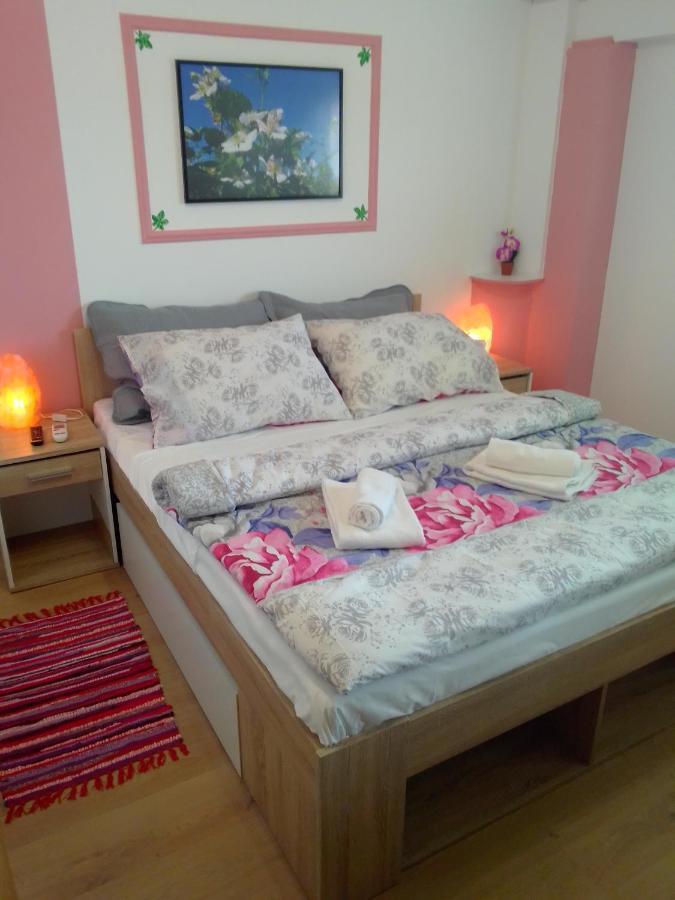 Studio Apartman Safaric Sveti Martin Na Muri Eksteriør bilde